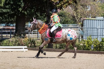 Bild 72 - Pony Akademie Turnier